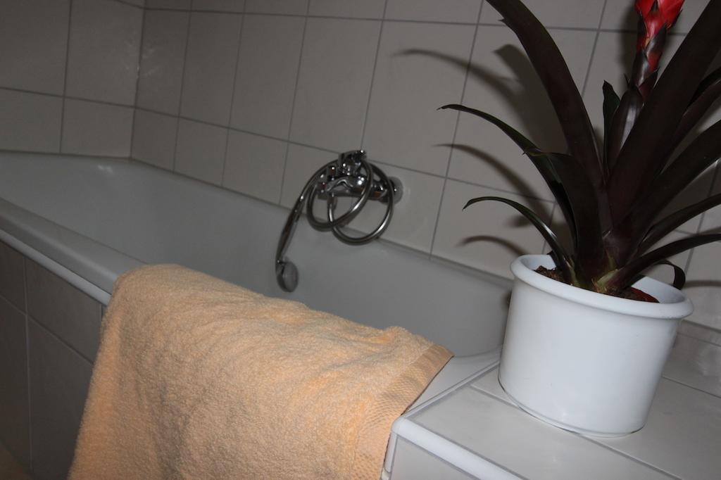 Gaestehaus Heimenberg Bad Rippoldsau-Schapbach Bagian luar foto