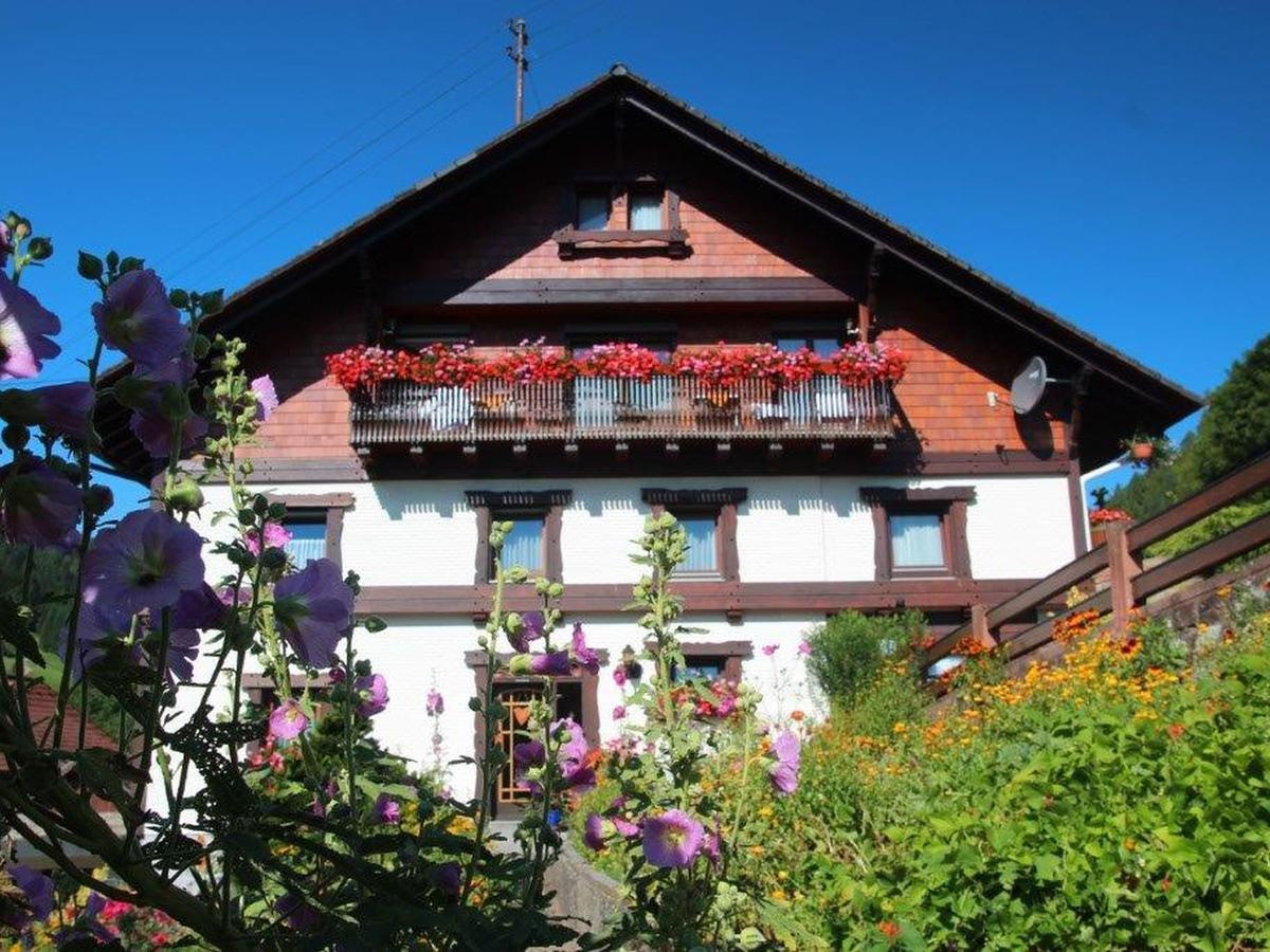 Gaestehaus Heimenberg Bad Rippoldsau-Schapbach Bagian luar foto