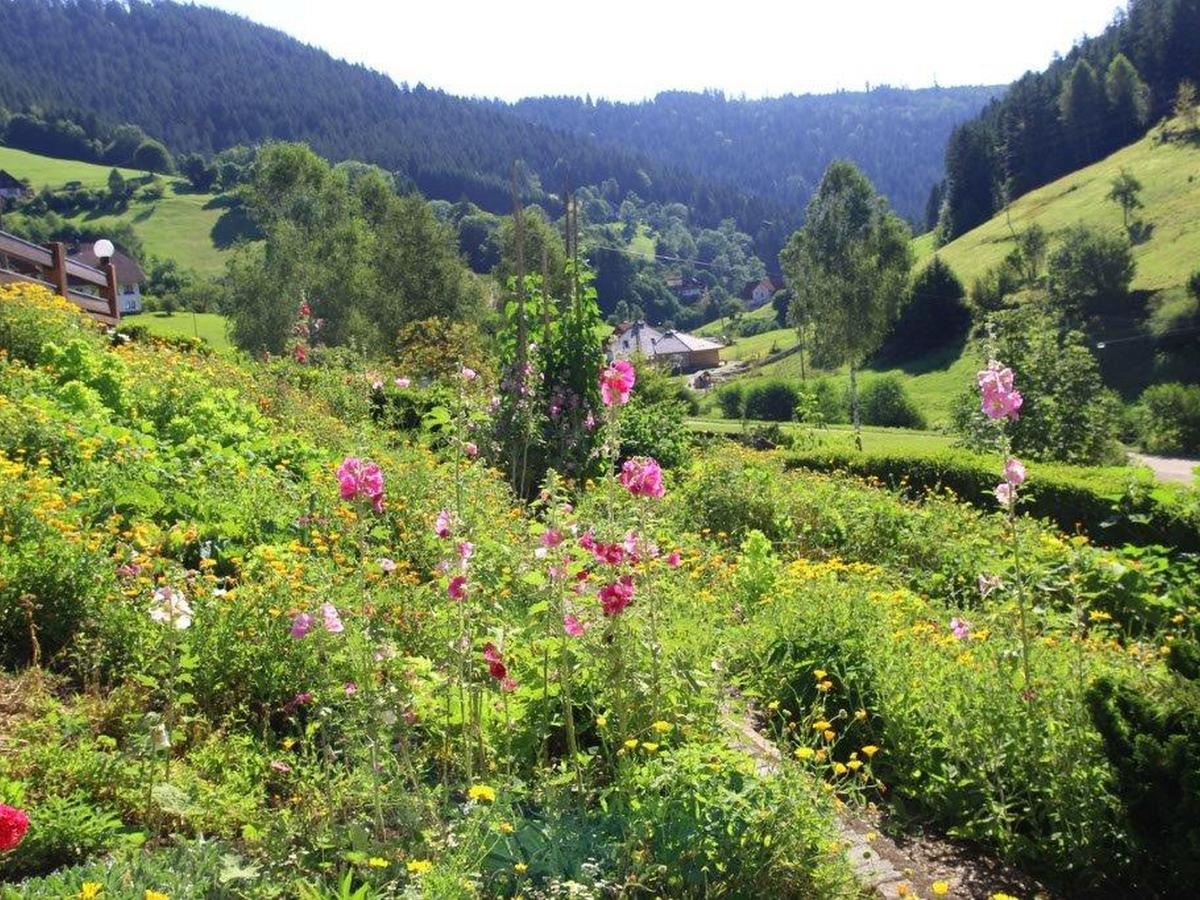 Gaestehaus Heimenberg Bad Rippoldsau-Schapbach Bagian luar foto