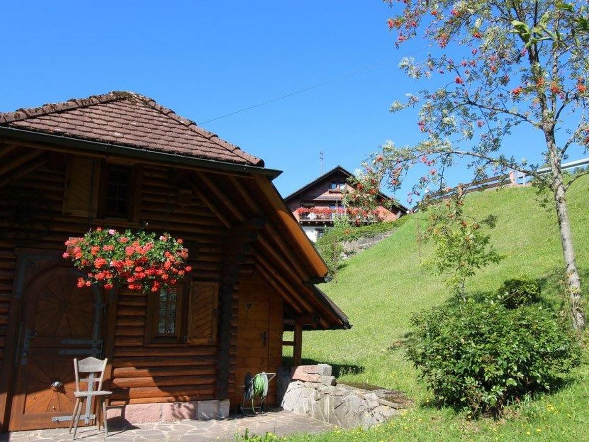 Gaestehaus Heimenberg Bad Rippoldsau-Schapbach Bagian luar foto